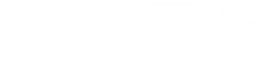 Tennessee state outline